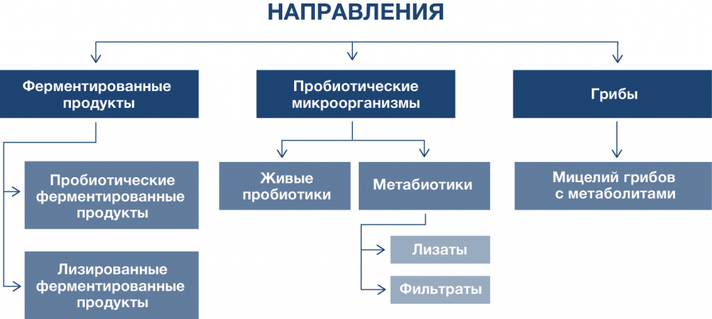 Биотехнологическое производство пищевых добавок thumbnail